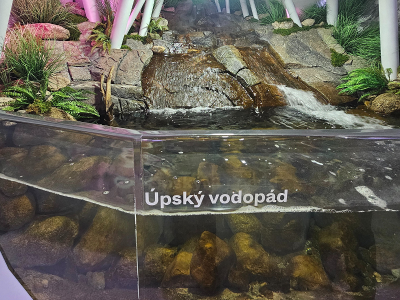 Ilustrační foto (4)